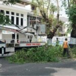 Pemkot Yogyakarta Rutin Pangkas Pohon Rimbun Antisipasi Tumbang